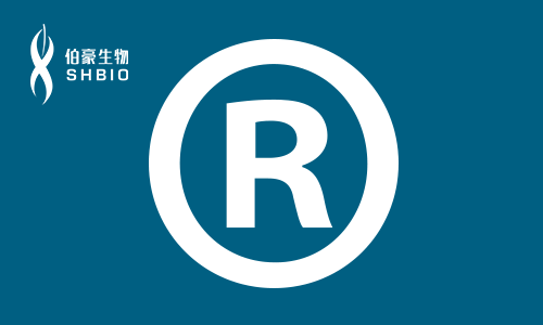 伯豪培訓(xùn)班 R 語言培訓(xùn)班