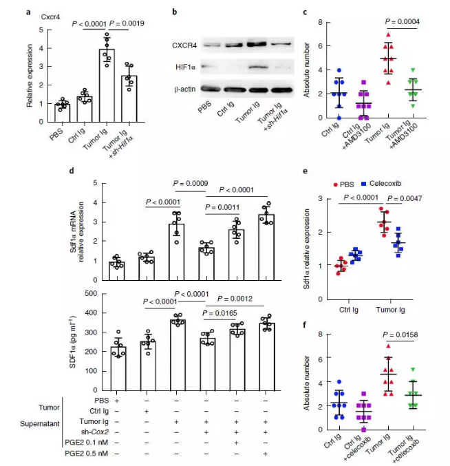  單細(xì)胞核測序技術(shù)服務(wù) 