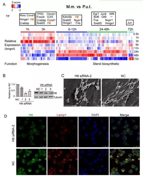 QQ 截圖 20191204142852