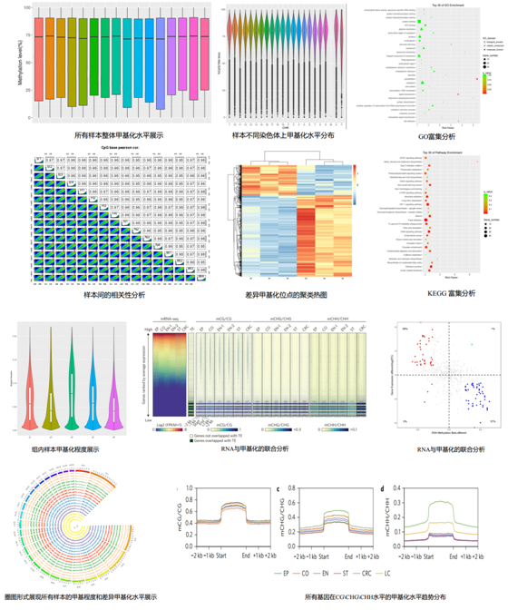 甲基化捕獲測序數(shù)據(jù)分析例圖 2