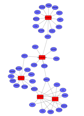 圖中顯示了 microRNA 與 mRNA 之間的關(guān)系