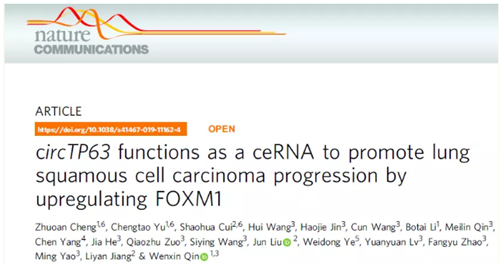 QQ 截圖 20191204145339