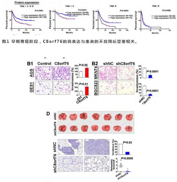 QQ 截圖 20191204143738
