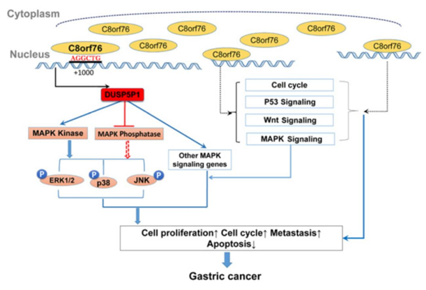 QQ 截圖 20191204144056