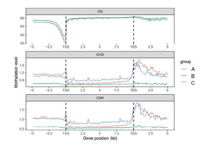 所有基因不同功能區(qū)域的甲基化程度走勢分析