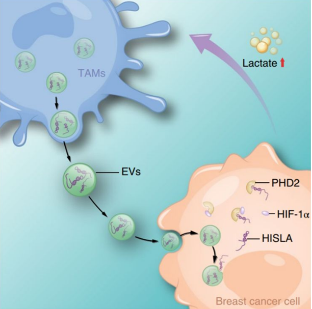 QQ 截圖 20191204140131