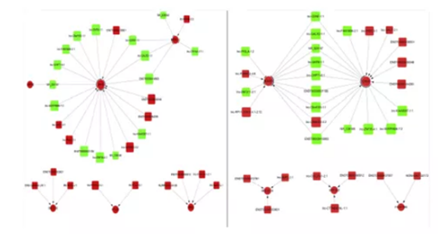QQ 截圖 20191204150750