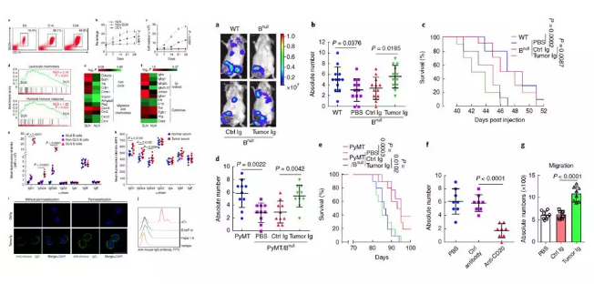 單細(xì)胞核測序技術(shù)服務(wù)
