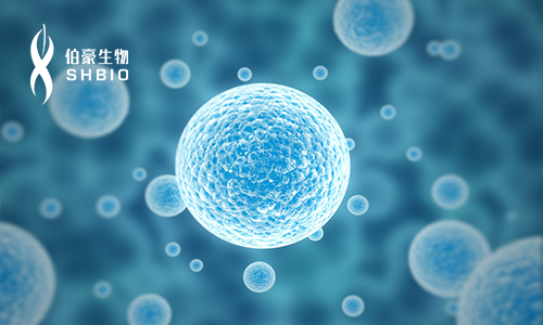 圓滿召開 | 第二屆單細(xì)胞測序技術(shù)與應(yīng)用專題研討會