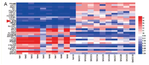 QQ 截圖 20191204150451