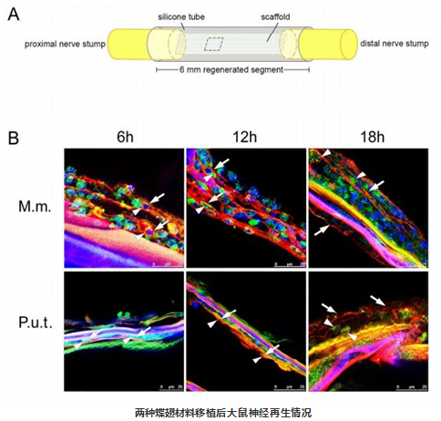 QQ 截圖 20191204143008