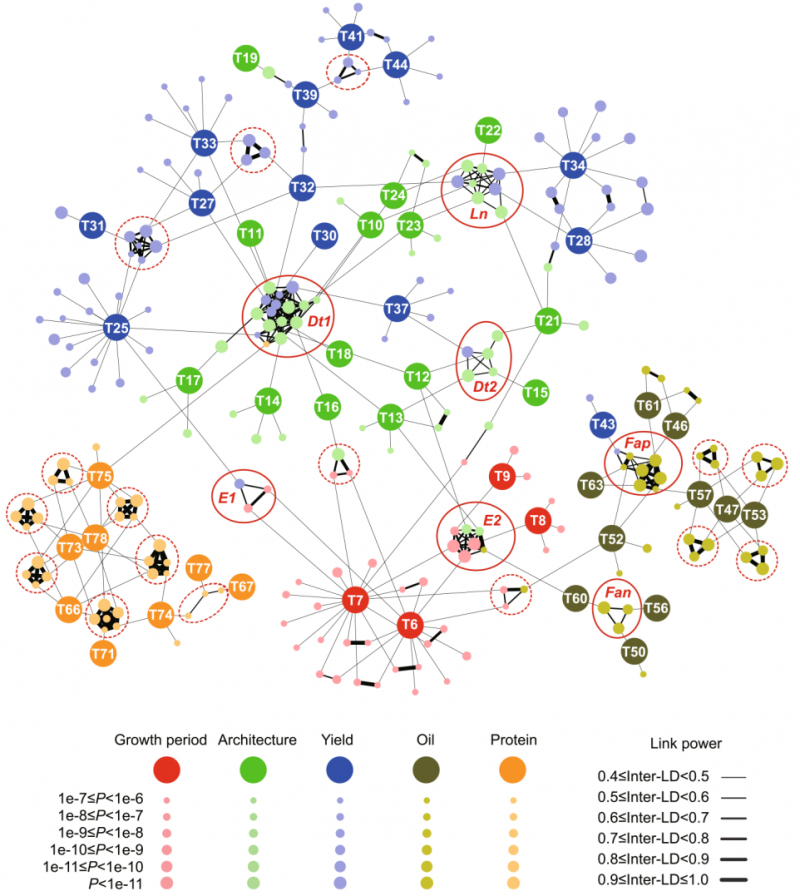 大豆不同性狀間的遺傳調(diào)控網(wǎng)絡