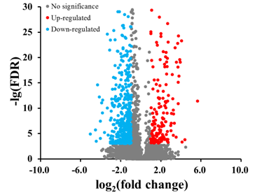 原核轉(zhuǎn)錄組測序案例二研究結(jié)果