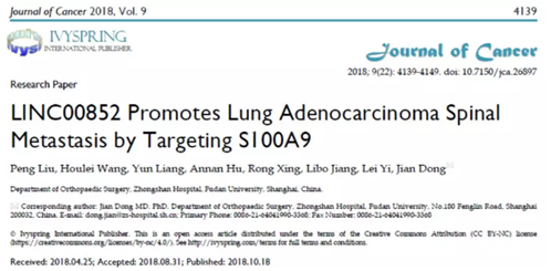 QQ 截圖 20191204150539