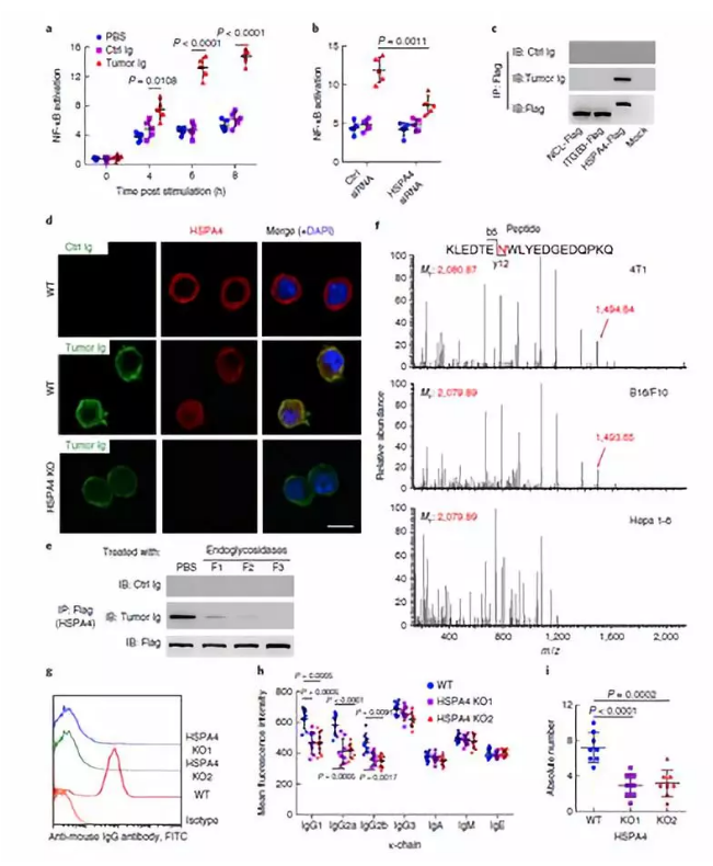 單細(xì)胞核測序技術(shù)服務(wù)