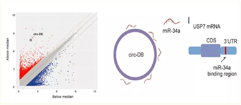 QQ 截圖 20191204145912