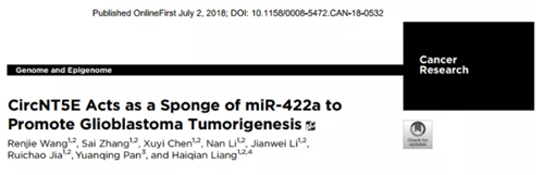 QQ 截圖 20191204145656