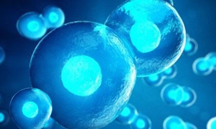 單細胞測序平臺