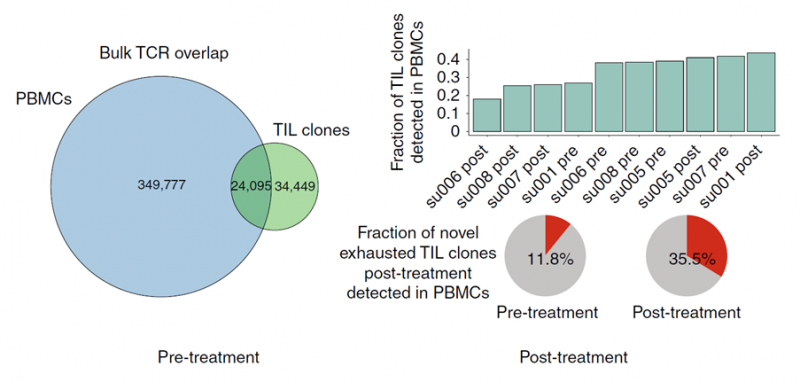 圖 新發(fā)現(xiàn)的腫瘤浸潤性 T 細(xì)胞在外周血中的比例