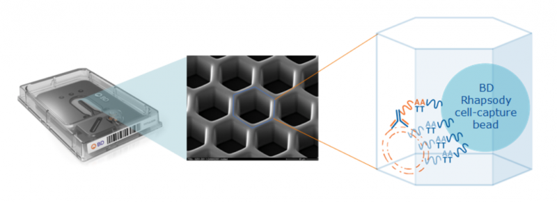單細(xì)胞 mRNA 與蛋白同時(shí)測序