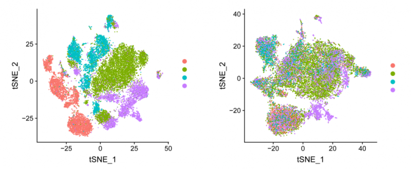 單細(xì)胞 RNA 測序去除批次效應(yīng)