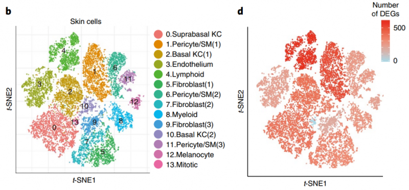 單細(xì)胞 RNA 測序應(yīng)用：用藥指導(dǎo)