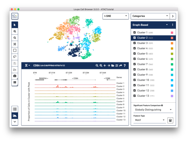 單細胞 ATAC 測序 Loupe 分析