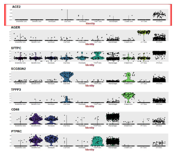 單細(xì)胞 RNA 測序應(yīng)用：病毒感染