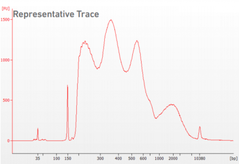 Agilent Bioanalyzer High Sensitivity DNA chip 質檢結果圖