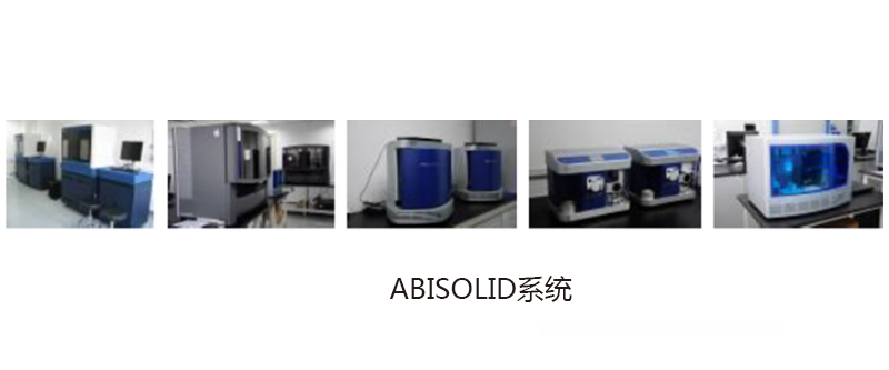 平臺大圖通用模板