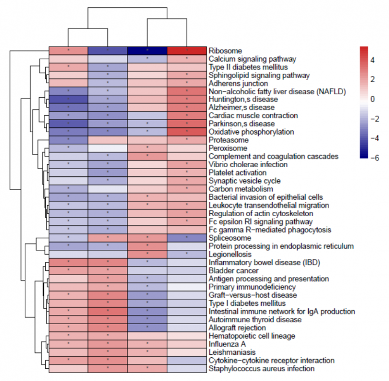 單細(xì)胞 RNA 測序細(xì)胞亞群的功能富集在樣本間的差異