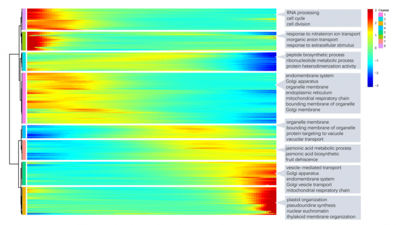 單細(xì)胞 RNA 測序擬時(shí)序 GO 注釋