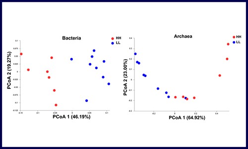 文獻解讀 | 微生物組 + 代謝組共同探究影響牛奶的蛋白產(chǎn)量的因素