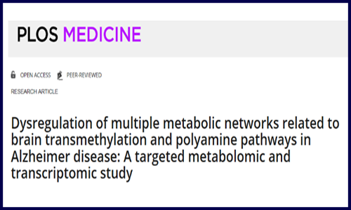 代謝組學 | 阿爾茨海默氏病轉甲基化及多胺途徑相關代謝網(wǎng)絡研究