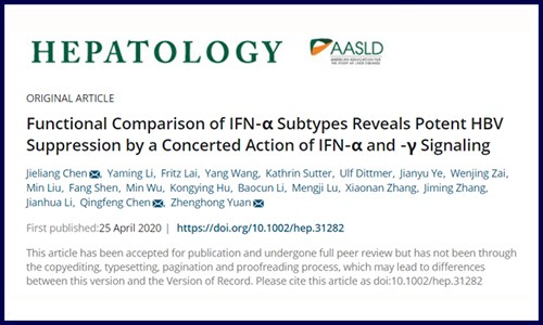 干貨！伯豪客戶高分文章詳解