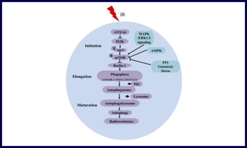 朝花夕拾 | 5 月客戶文獻集錦