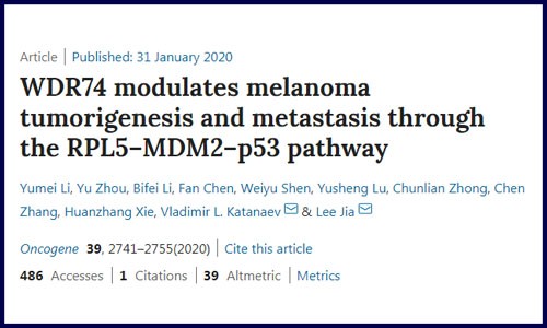 蛋白篇│蛋白組學(xué)機制研究例文解讀