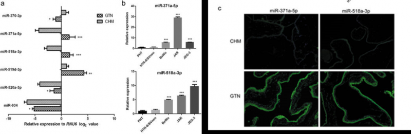  本研究 Affymetrix GeneChip miRNA 4.0 由上海伯豪提供實(shí)驗(yàn)和數(shù)據(jù)分析。