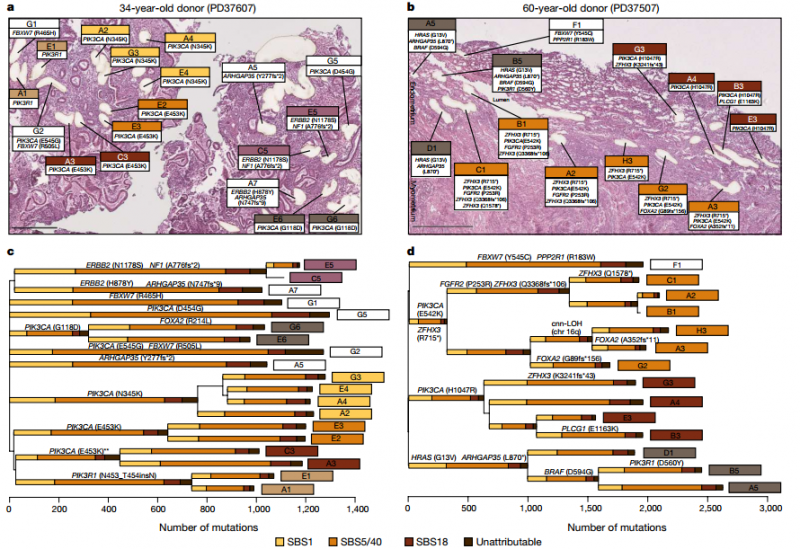 信號通路生信分析