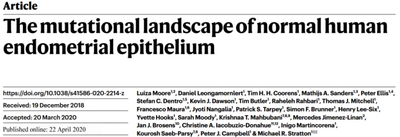 正常子宮內膜上皮的突變圖譜