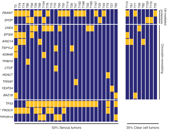 基因重測序生信分析圖