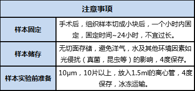 FFPE 樣本準(zhǔn)備、儲(chǔ)存及運(yùn)輸