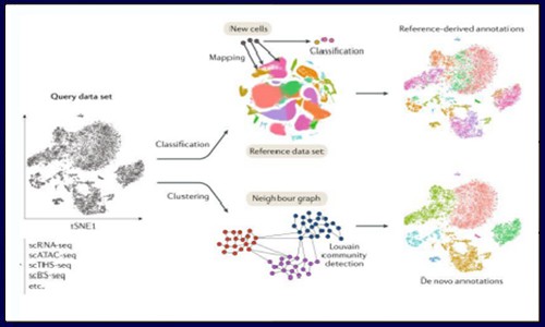 單細胞多組學技術(shù)