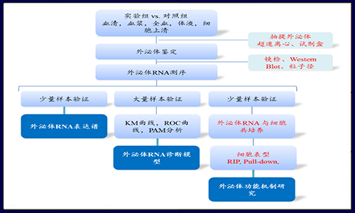 漲姿勢啦！解鎖外泌體研究策略！