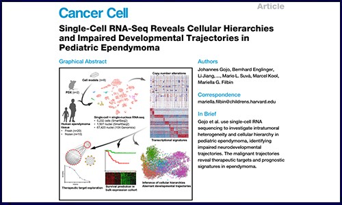 文獻錦集 | 7 月單細胞測序高分文獻匯總