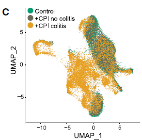 單細(xì)胞 RNA 測序