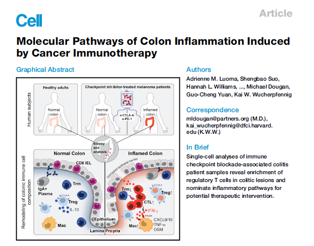單細(xì)胞 RNA 測序