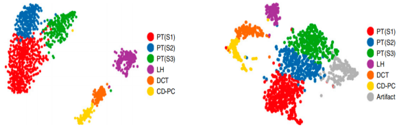 伯豪生物單細(xì)胞核轉(zhuǎn)錄組測(cè)序數(shù)據(jù)圖 7