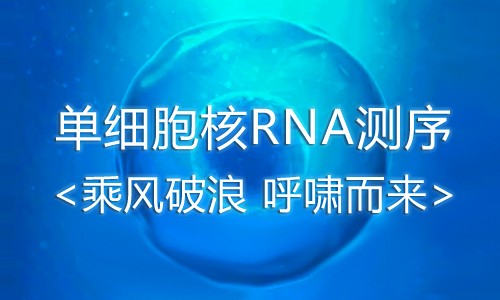 Show Time| 單細胞核轉(zhuǎn)錄組測序-—乘風破浪呼嘯而來
