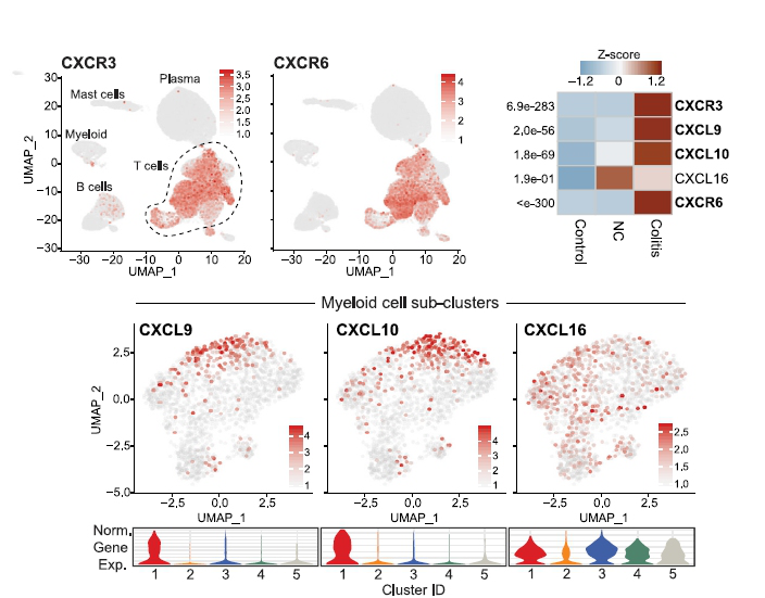 伯豪單細(xì)胞 RNA 測序
